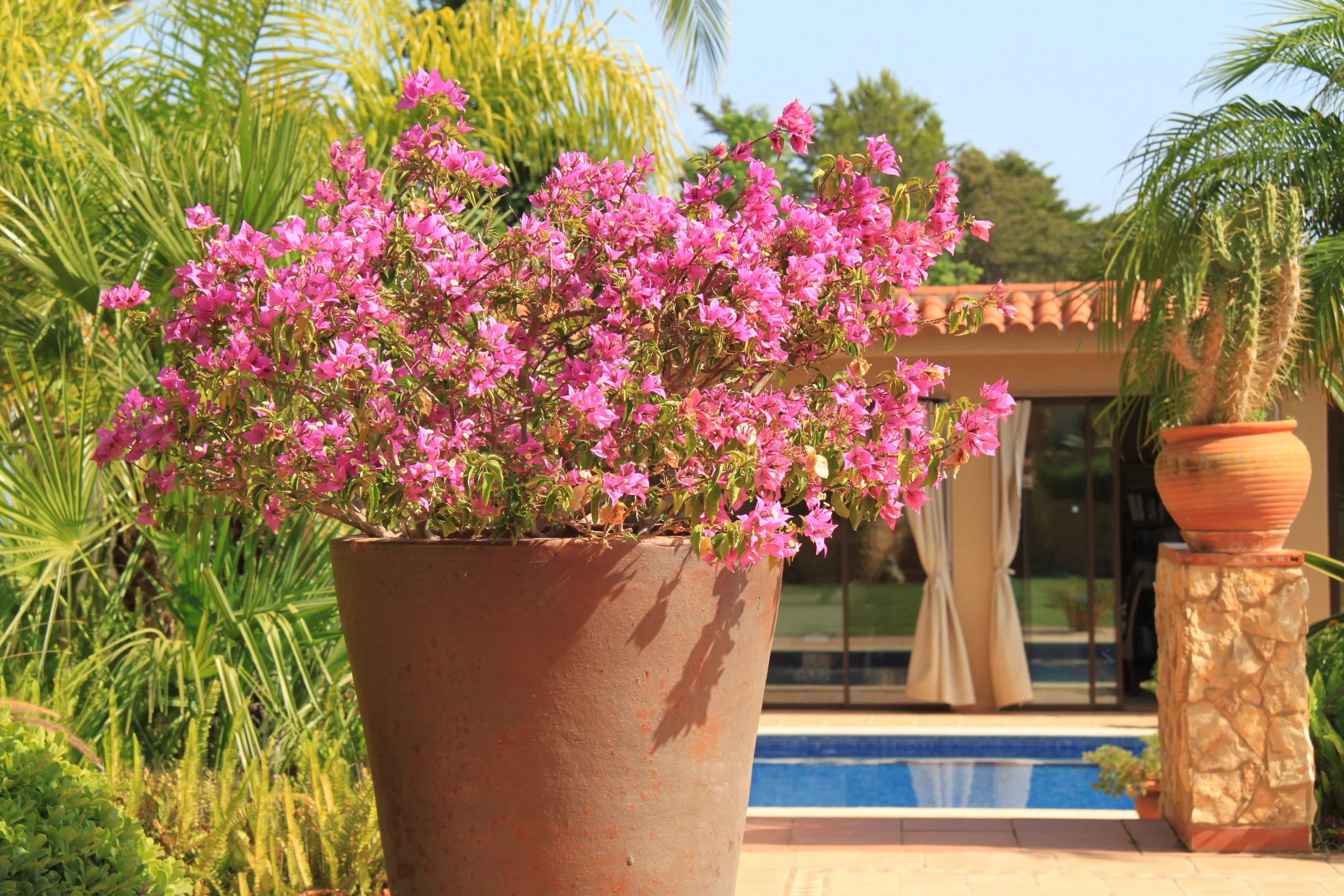 Spring 2023 News Letter