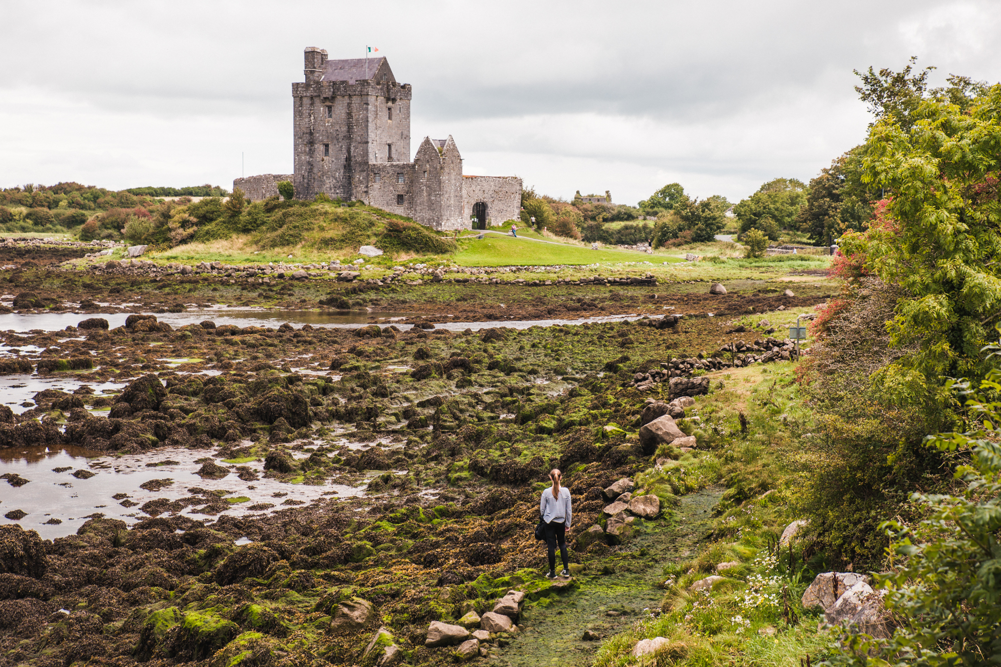 Dunguaire Castle