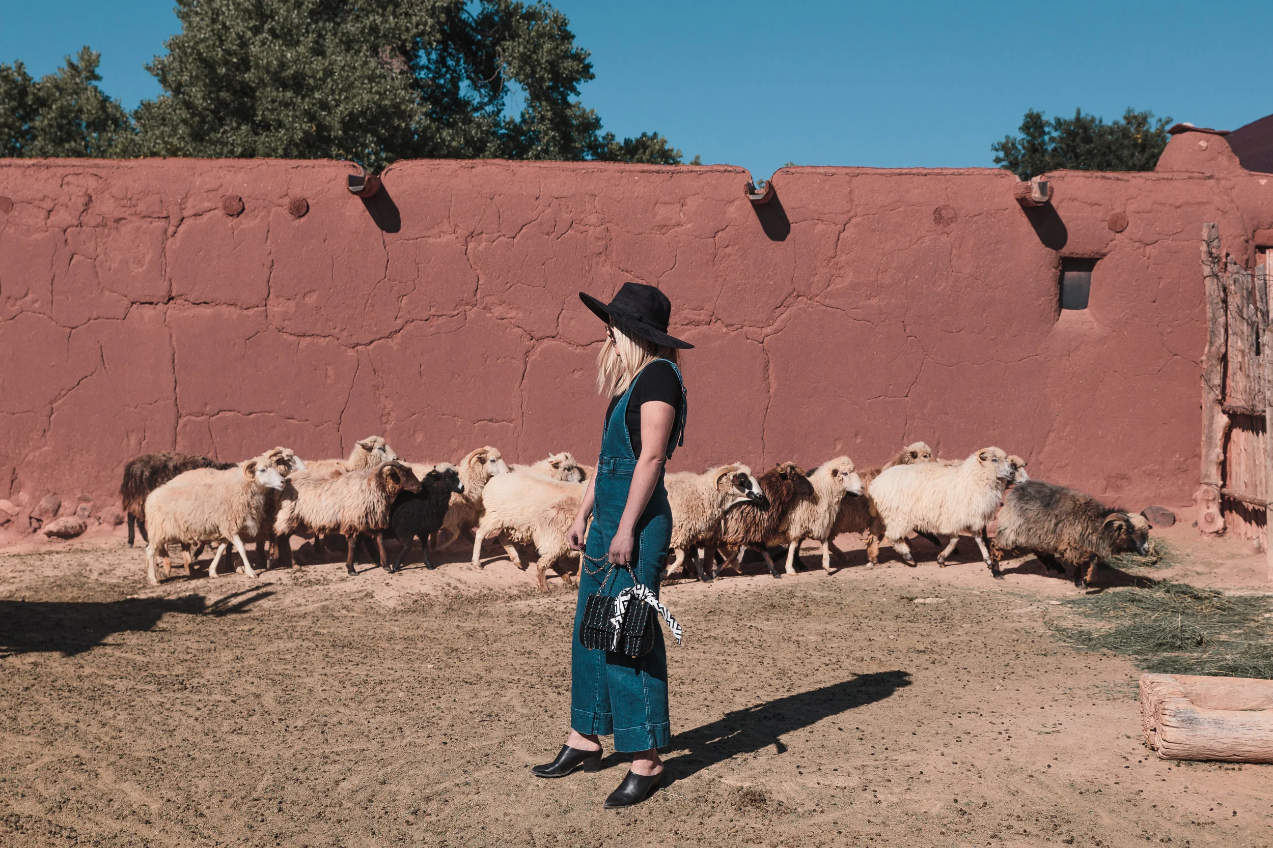 Your Weekend Getaway Guide to Santa Fe // #readysetjetset #santafe #newmexico #travel www.readysetjetset.net