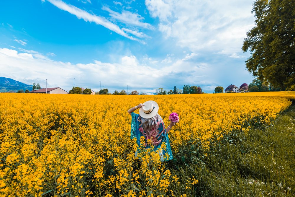 11 Things to Do in Geneva, Switzerland