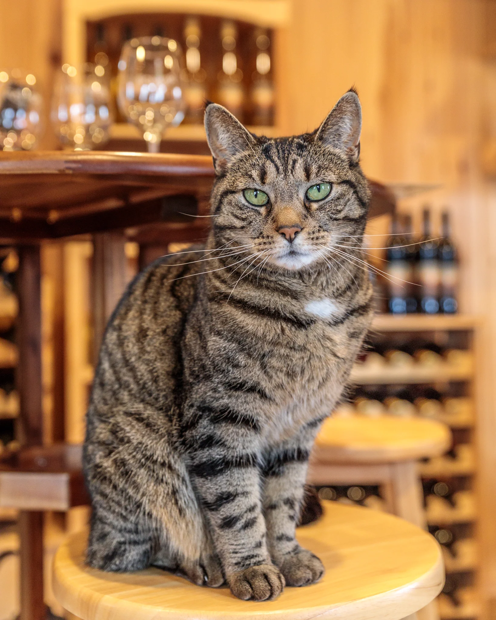 Raymor Estate Cellars // 3 Days in the Finger Lakes: A Wine Trail Itinerary