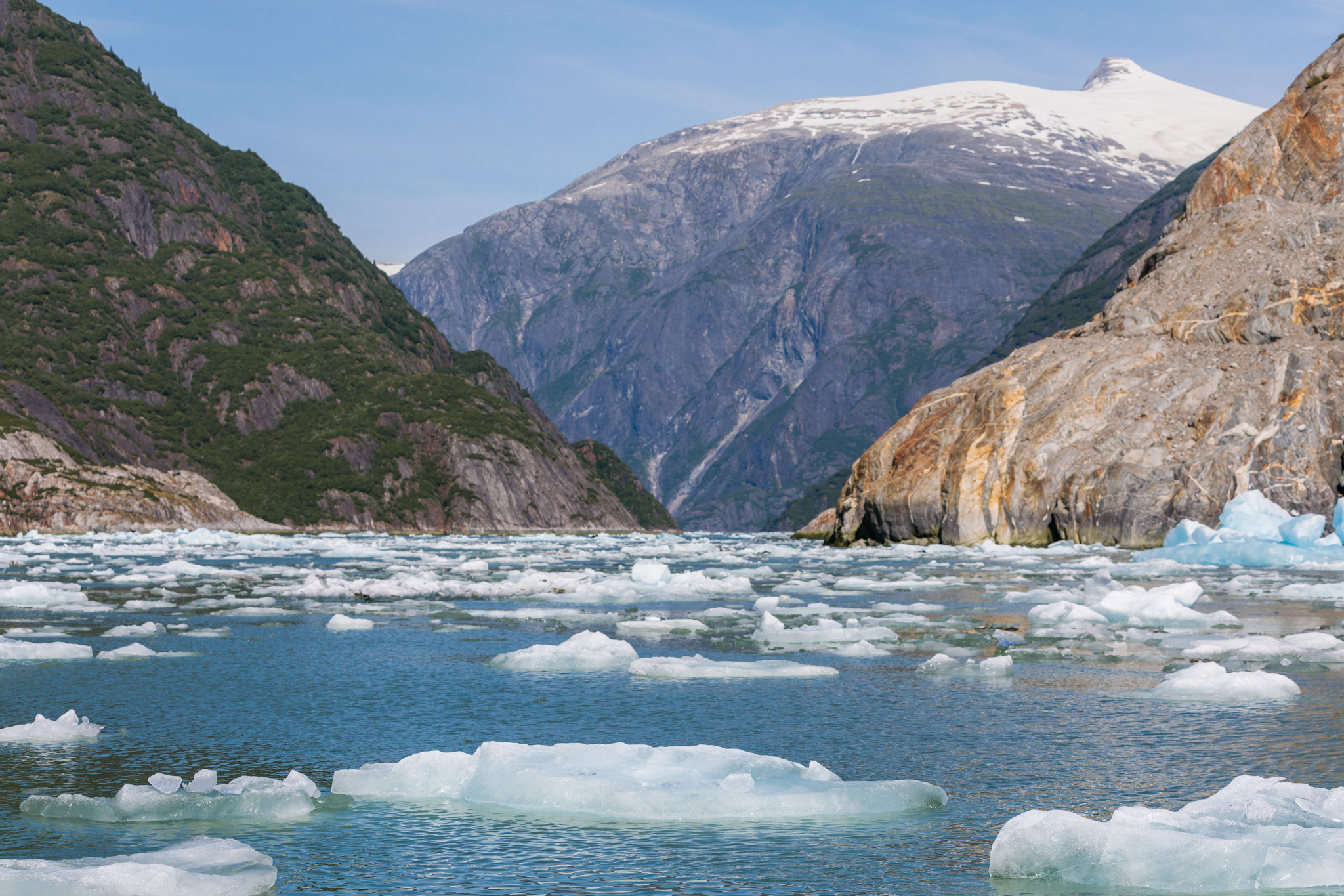 Ultimate Alaska: Cruising Glaciers and Fjords Onboard the Seabourn Sojourn // www.readysetjetset.net #readysetjetset #seabourn #cruises #alaska