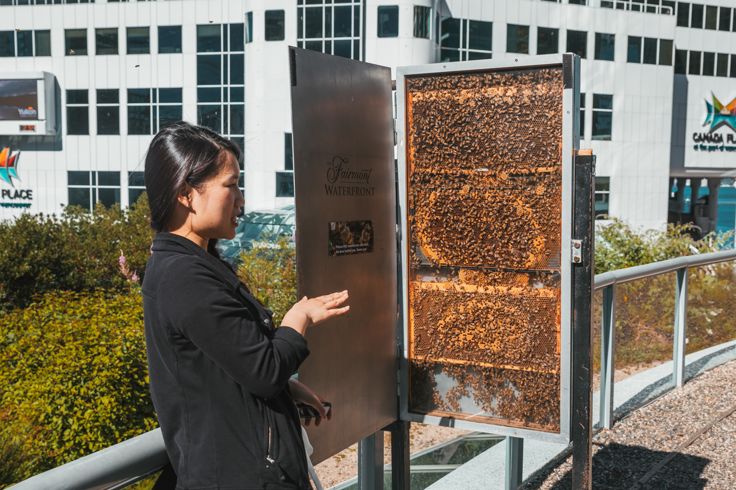 Honey bee tour at the Fairmont Waterfront // The Quick Guide to Visiting Vancouver, BC #readysetjetset