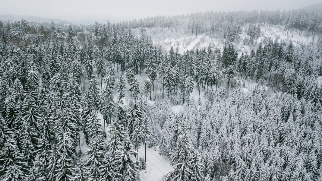 Thuringian Forest from above by drone 