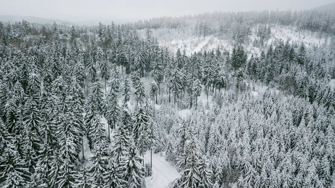 Thuringian Forest from above by drone 
