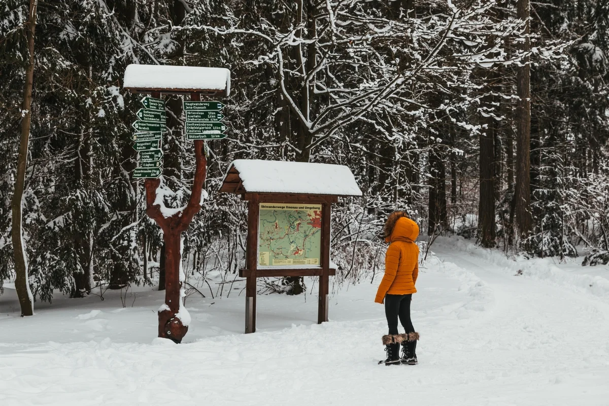 Thuringian Forest trails