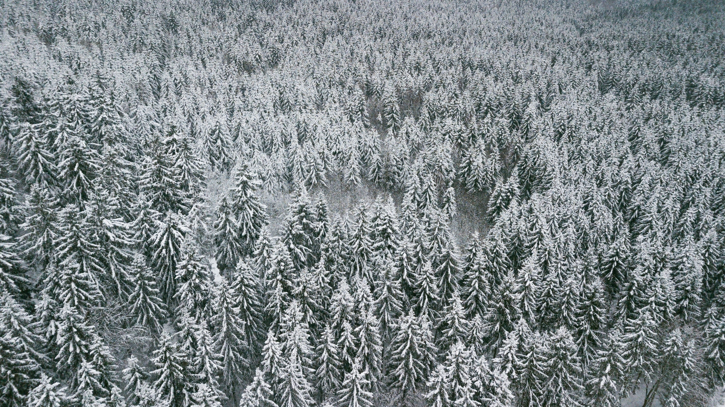 Droning above the Thuringian Forest in winter