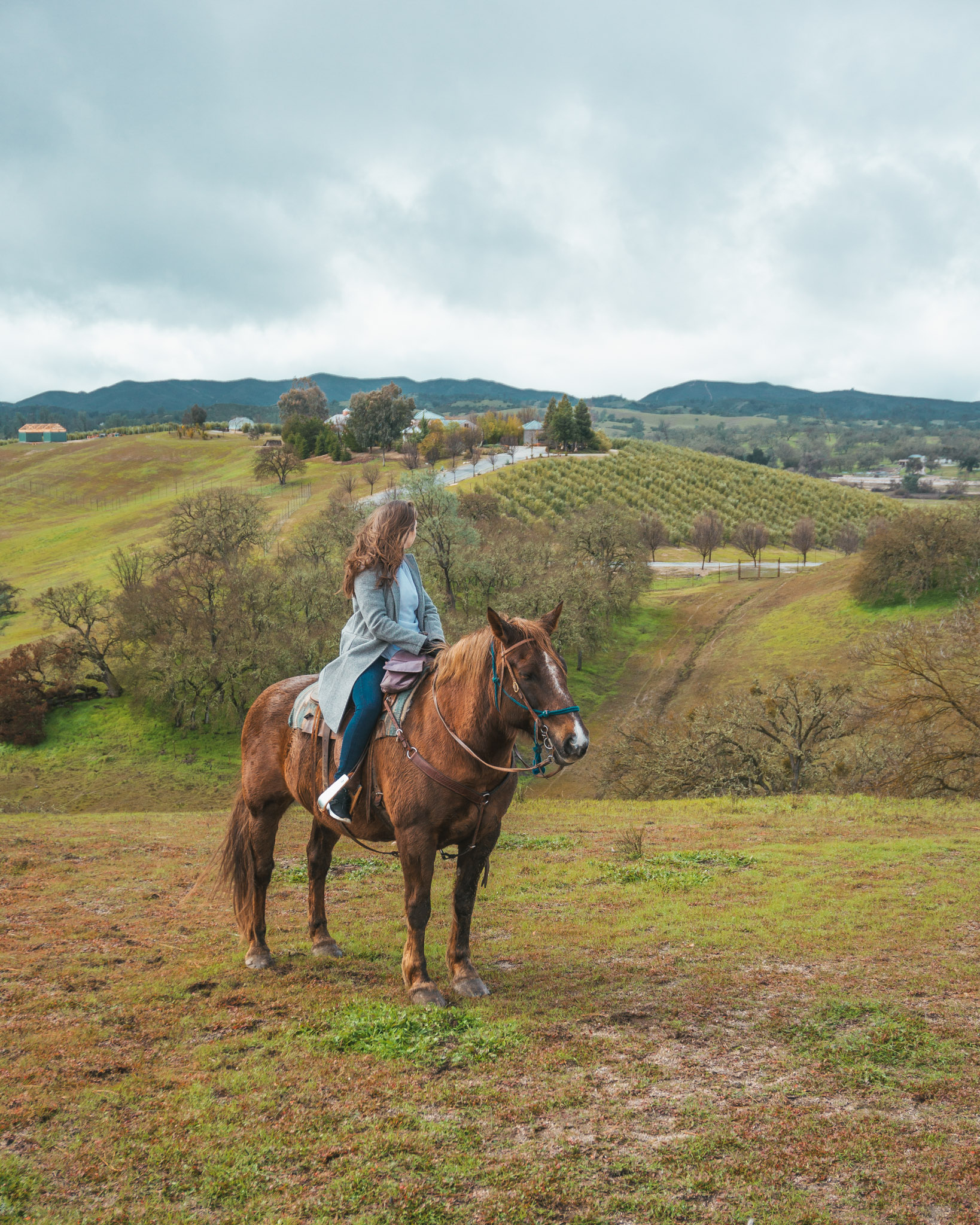 Central Coast Trailrides ~ The Most Instagrammable Spots in SLO CAL County ~ #readysetjetset #slocal #california #blogpost #travel #sanluisobispo