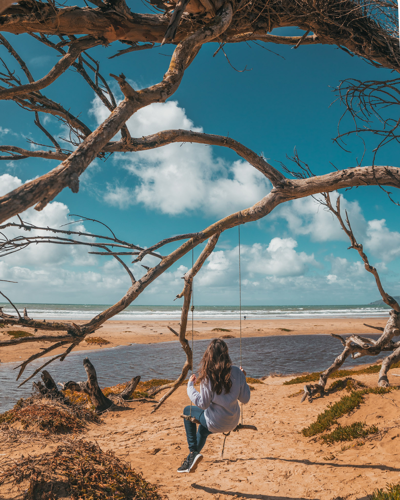 Monarch Butterfly Grove Swing, Pismo Beach ~ The Most Instagrammable Spots in SLO CAL County ~ #readysetjetset #slocal #california #blogpost #travel #sanluisobispo