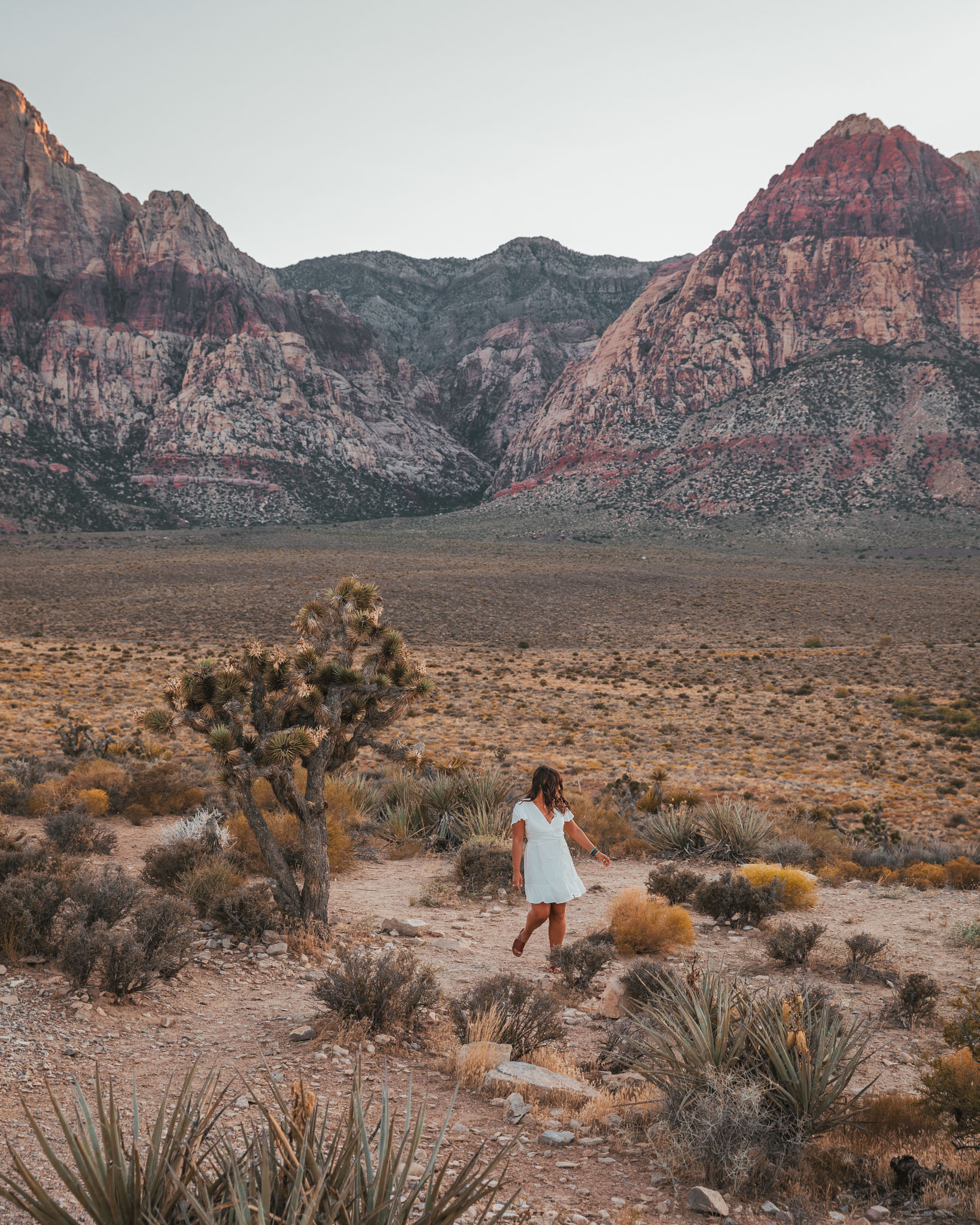 Red Rock Canyon // The Quick Guide to Visiting Vegas Beyond the Strip #readysetjetset #lasvegas #outdoors #nevada #adventure #blogpost #travel