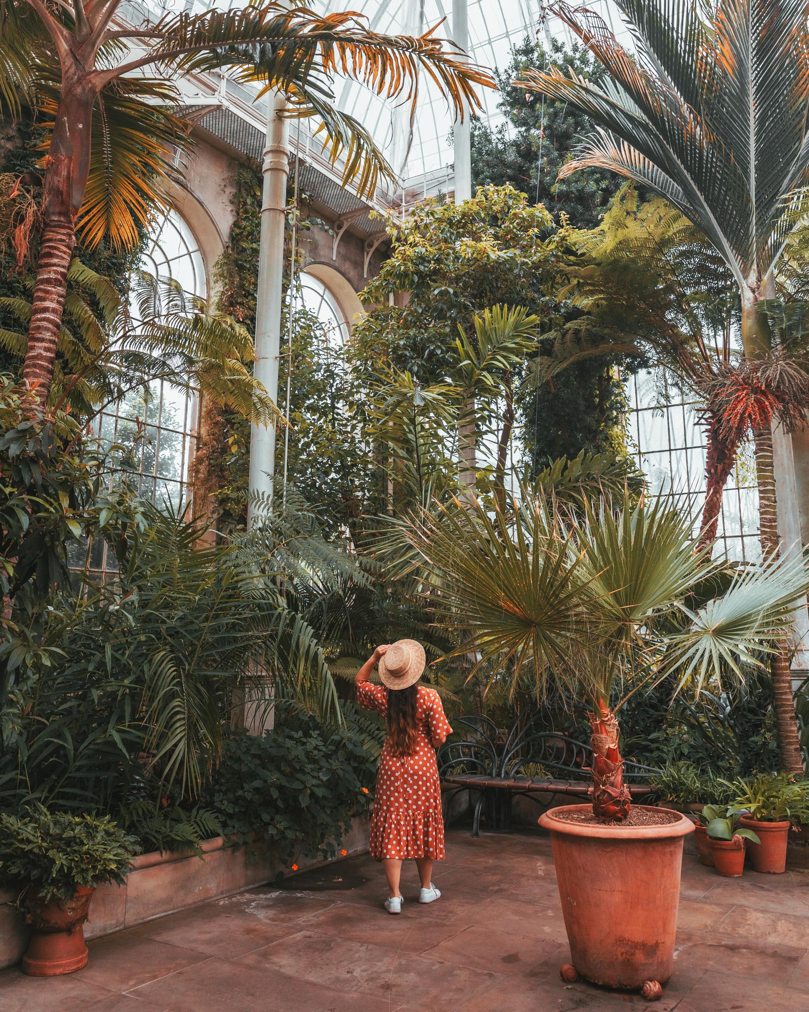 Royal Botanic Gardens Glasshouses // The Most Instagrammable Spots in Edinburgh, Scotland #edinburgh #scotland #readysetjetset #blogpost #travel #UK #Europe