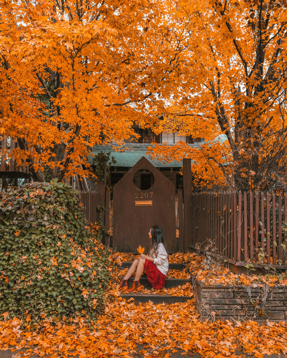 Fall foliage in November in Little Rock // Things to Do in Little Rock, Arkansas // #readysetjetset #blog #blogpost #autumn #littlerock #arkansas #travel #guide #itinerary