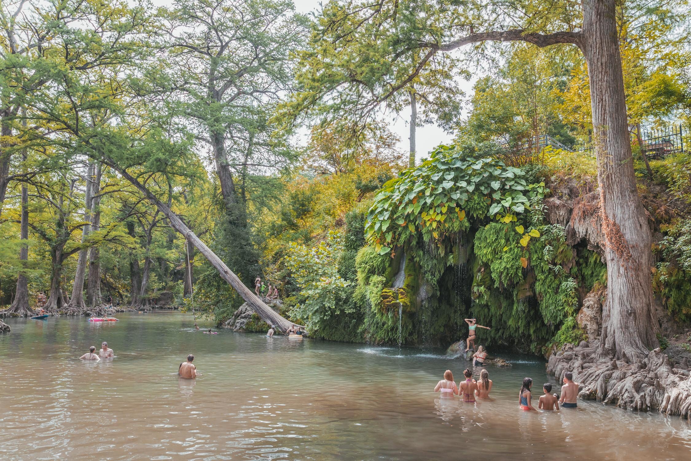 Krause Springs: One of the Best Swimming Holes in Texas // Krause Springs is a natural swimming hole just outside of Austin in Spicewood, Texas. It's beautiful waterfall and cool temperatures make it one of the best swimming spots in the Texas Hill …