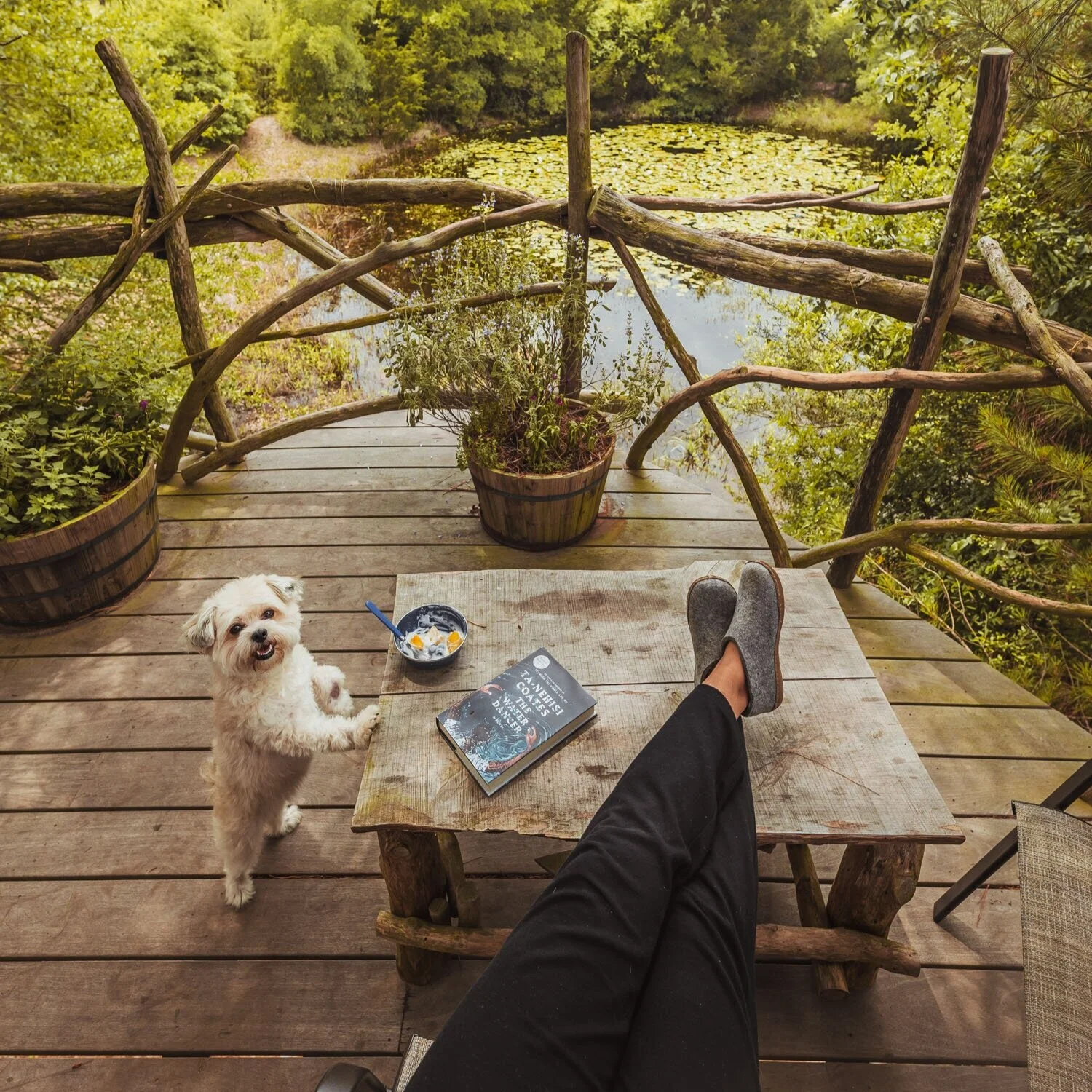 The Best Dog-Friendly Glamping Near Austin, Texas