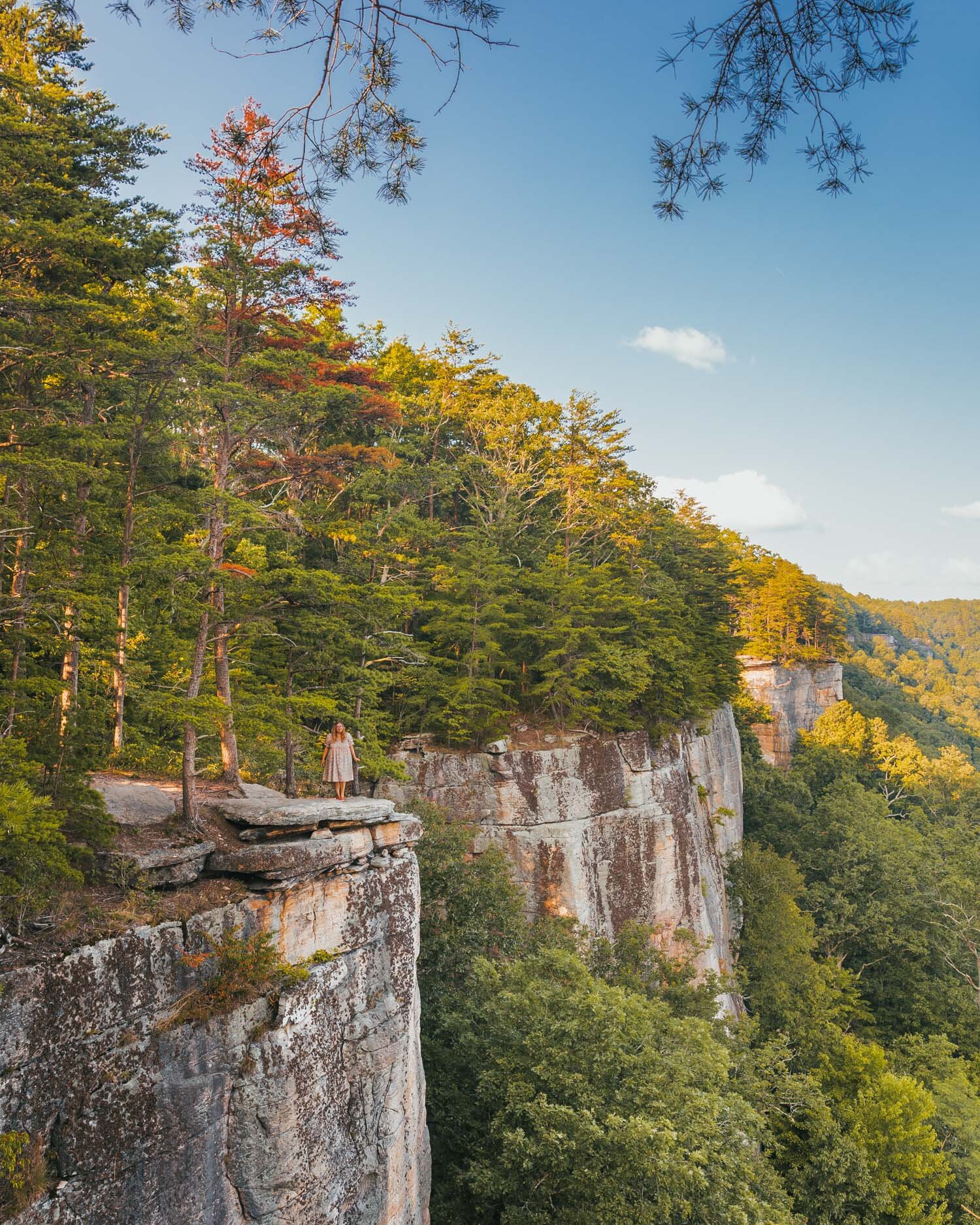 Endless Wall trail New River Gorge National Park // The Weekend Getaway Guide to West Virginia