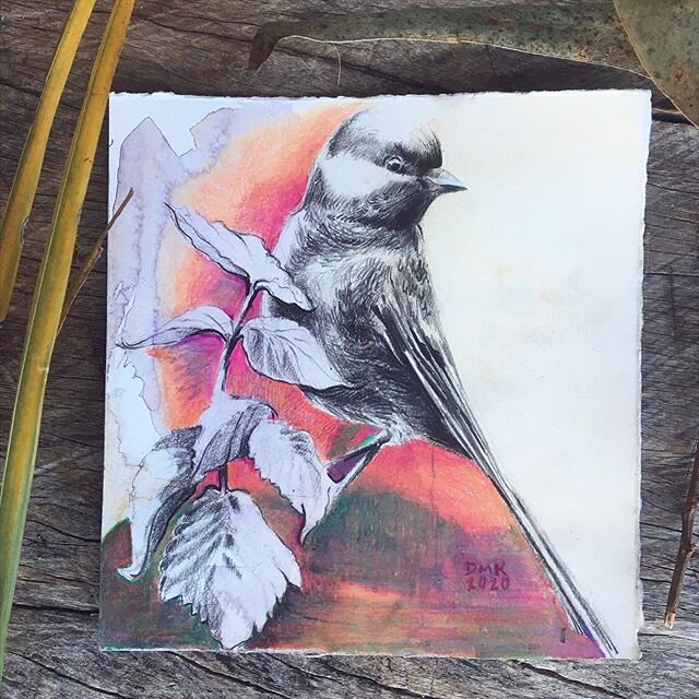 About to fly 5.25x5.5&rdquo; graphite, color pencil, and watercolor on Strathmore paper. This little guys for sale. Direct message me for inquiries. #birds #nature #leaves #drawanyway #birdsofinstagram #makeart