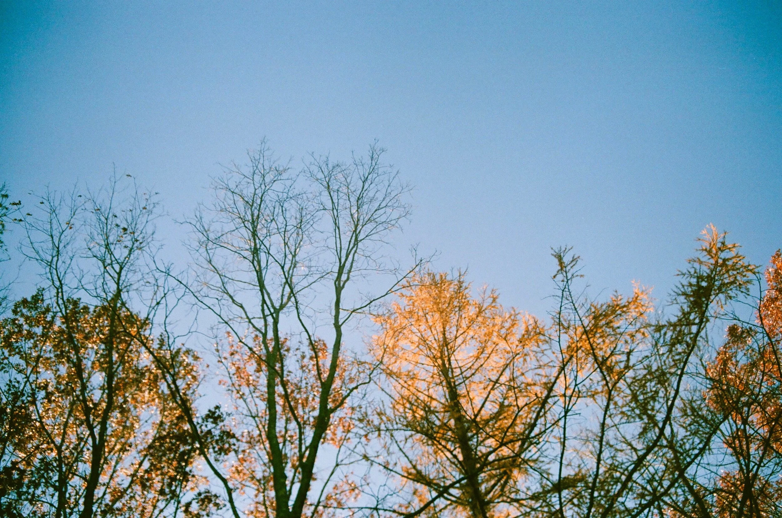 50530018.jpg