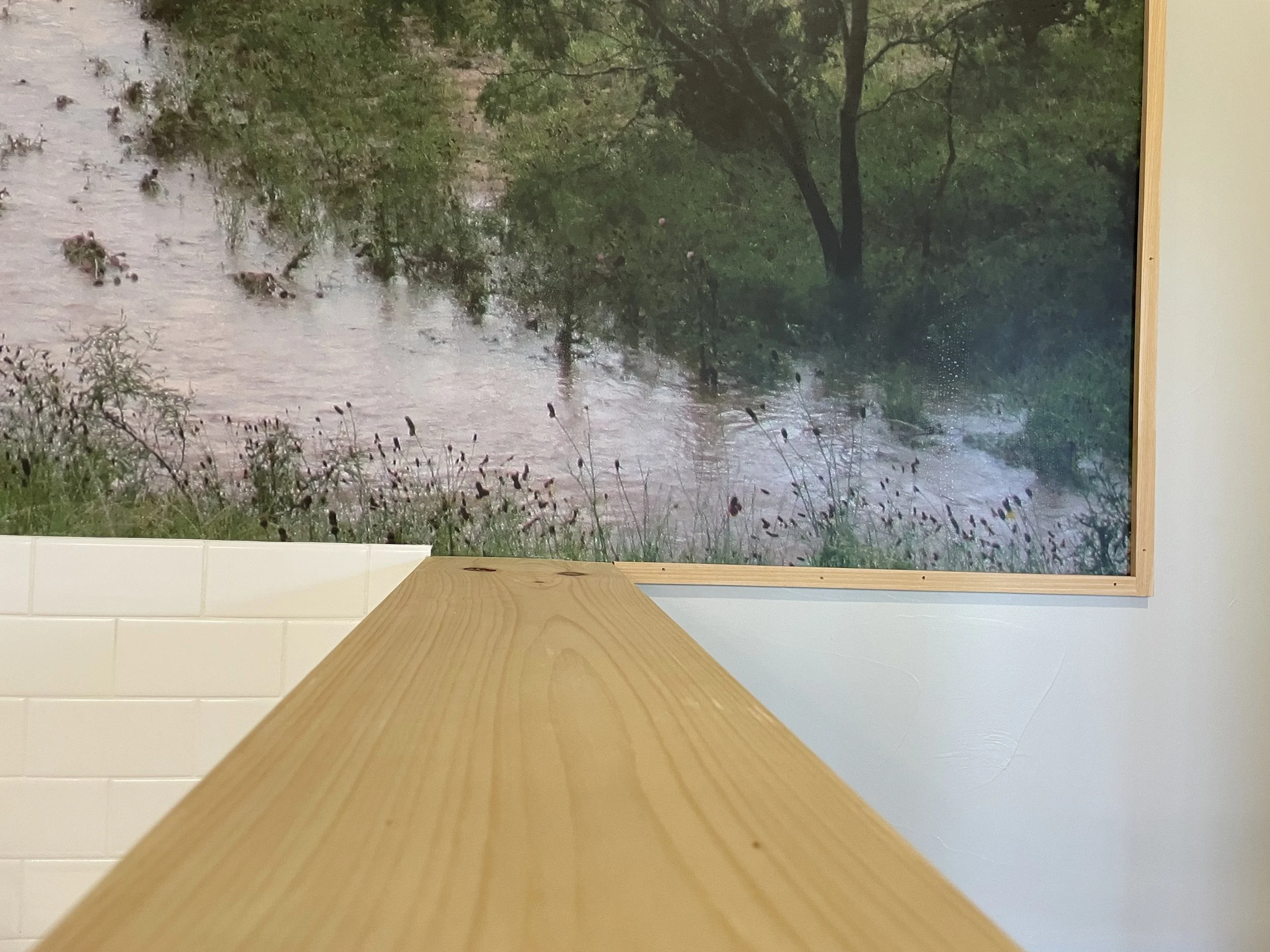 Custom Wall Mural.JPG