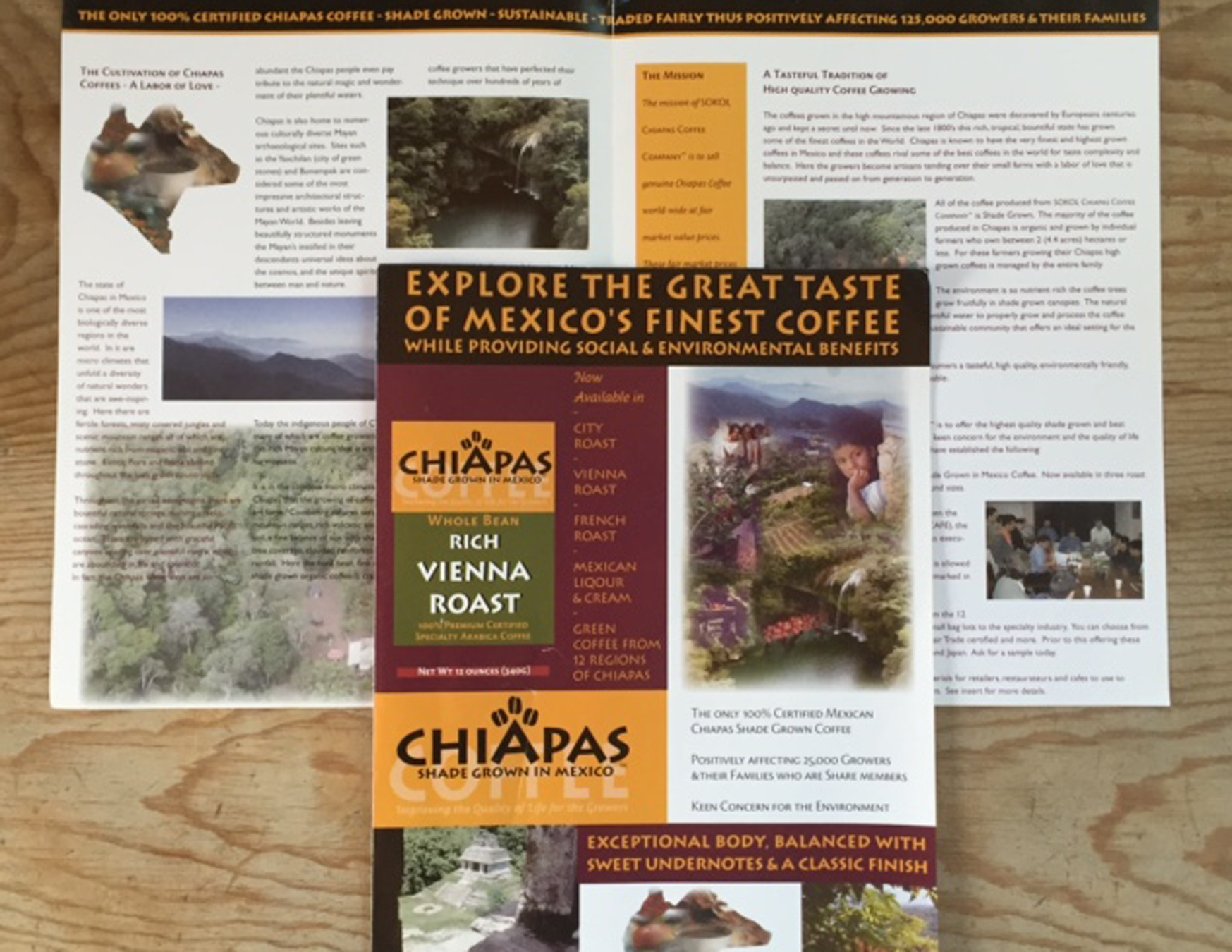 Brochure-Open.jpg