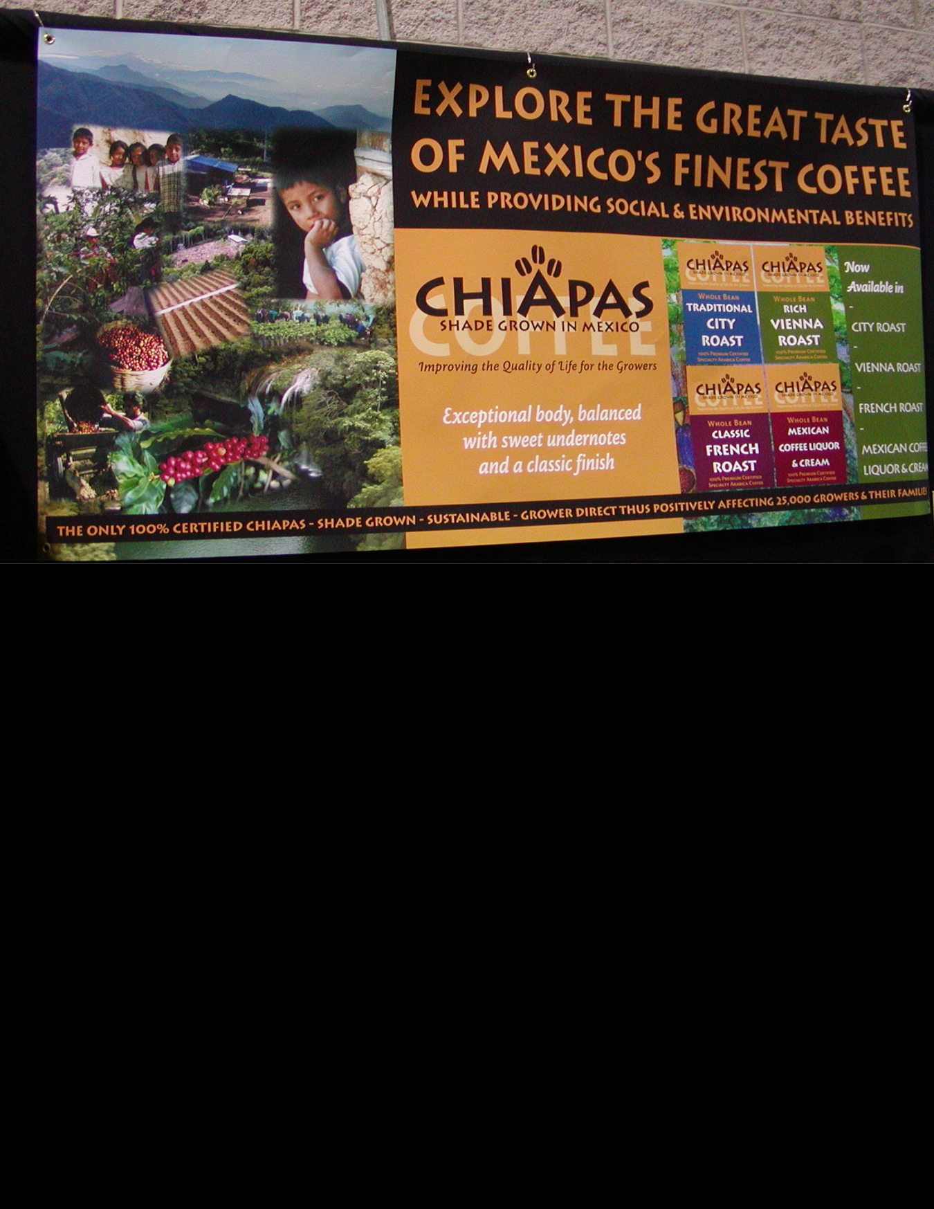 chiapas-banner2.jpg