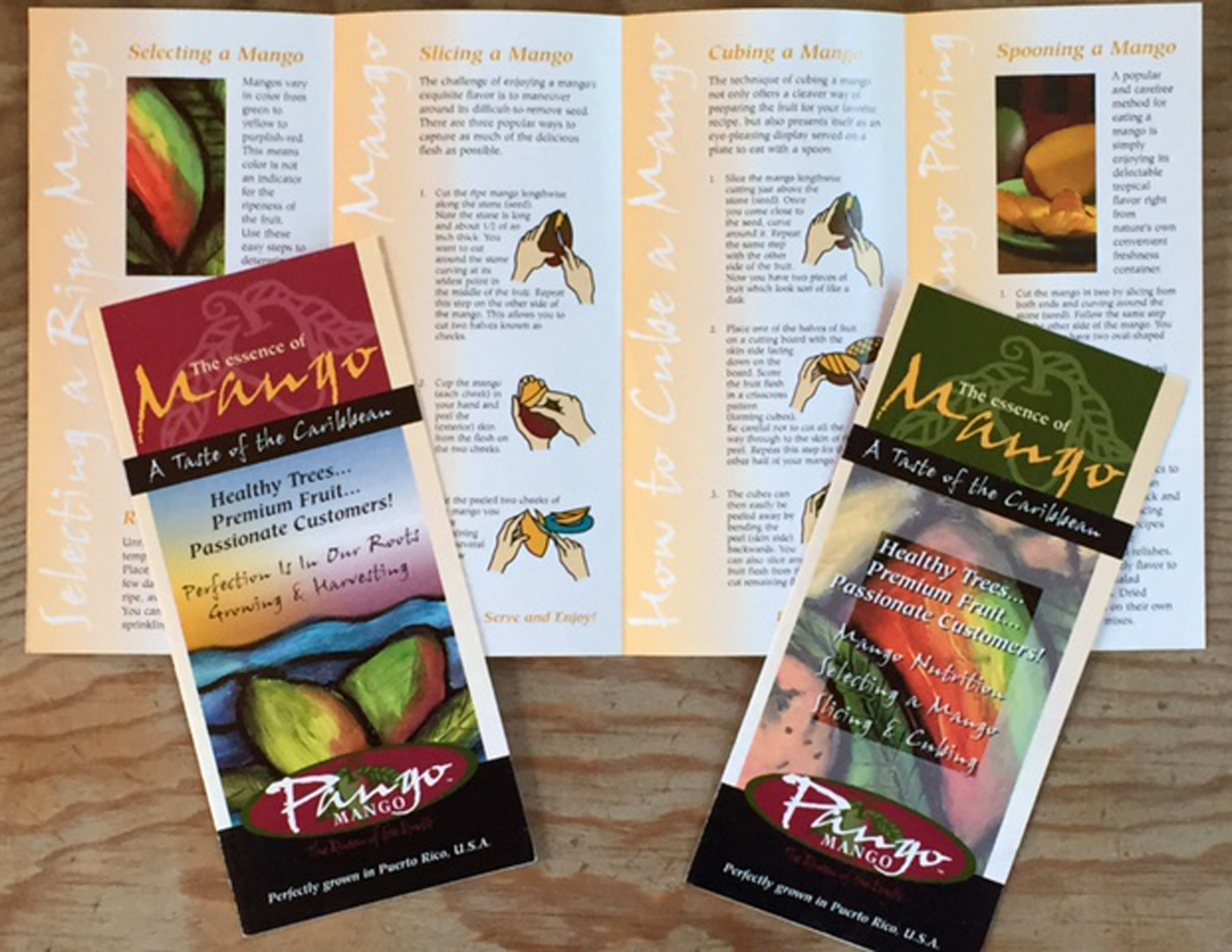 Brochures.jpg