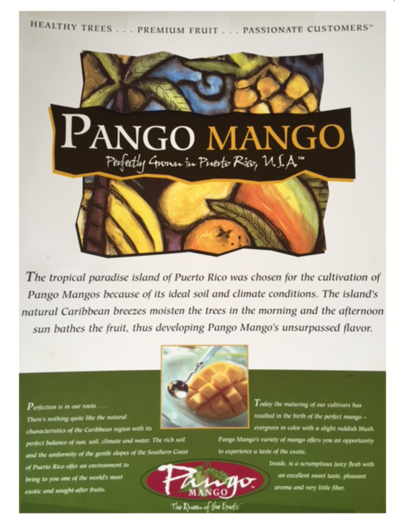 Pangomango2.jpg