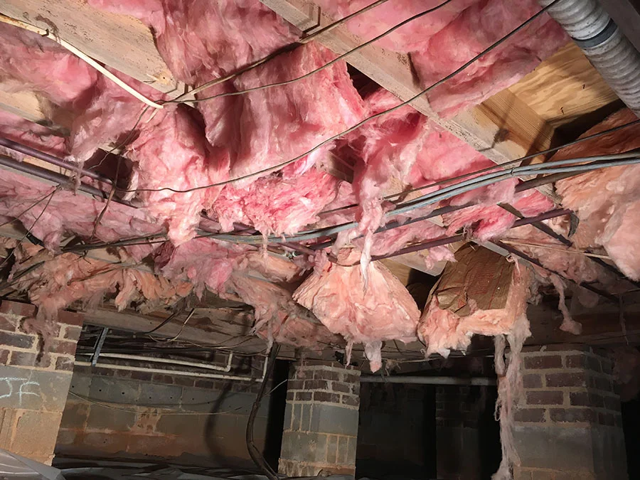 insulation that is hanging or no longer pushed against your floors is no longer doing its job and may be drawing moisture and attracting critters and insects to your home.
