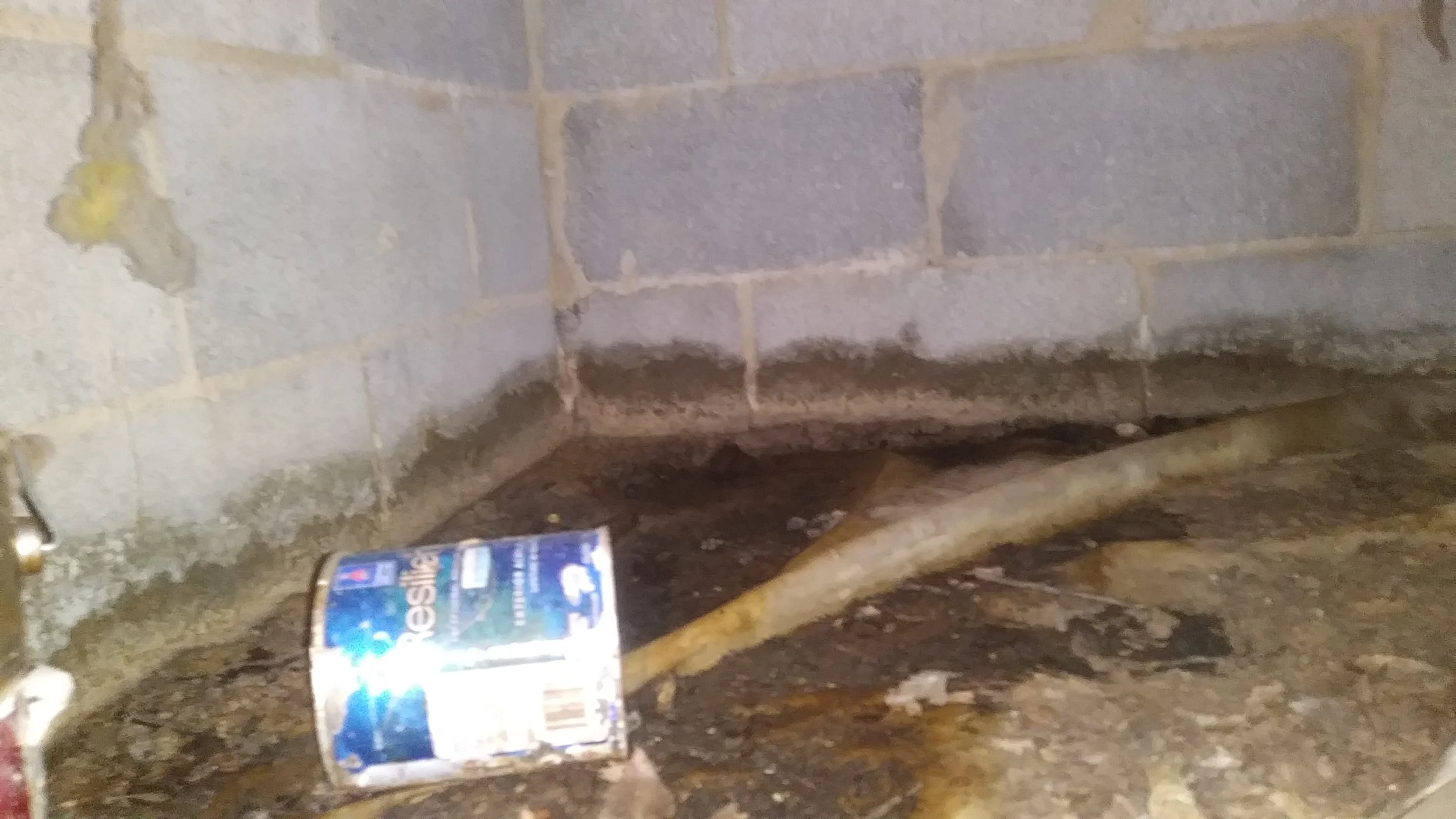 Standing water and debris in crawl space in Carrboro, NC
