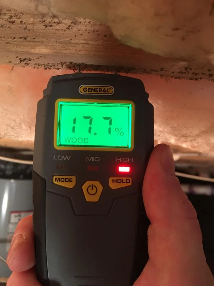 Elevated Wood Moisture Content in Raleigh, NC