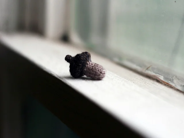itty bitty acorn