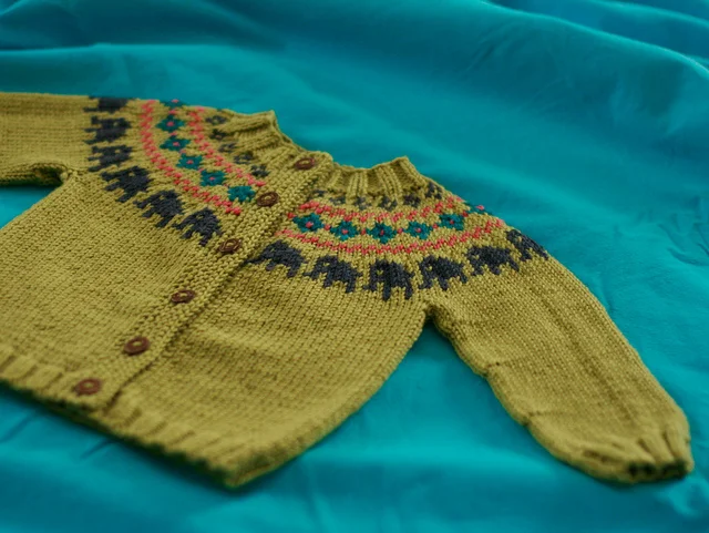 Ella Funt baby sweater