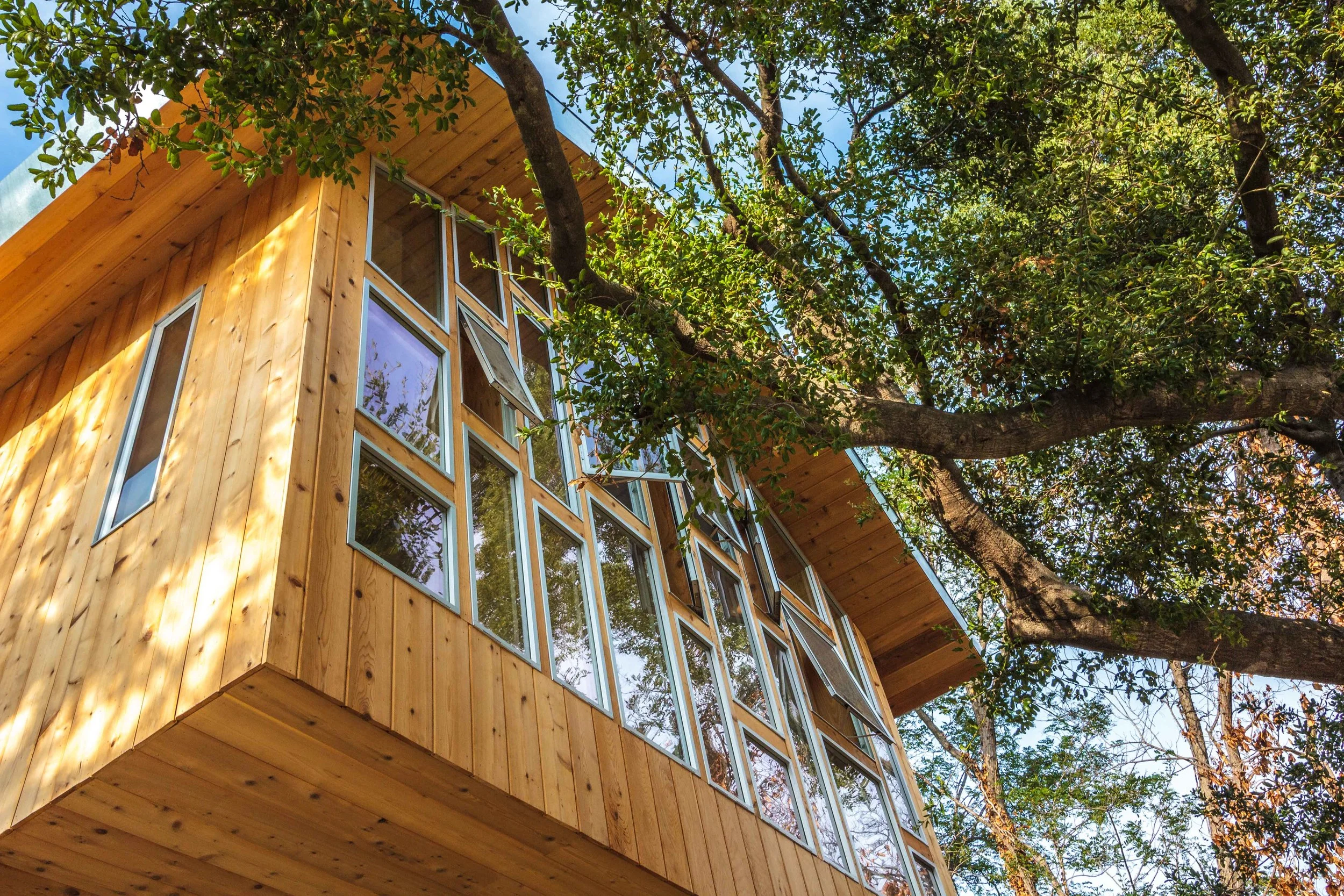 The glass wall is operable to provide natural cooling and enhance the sense of being in the tree.
