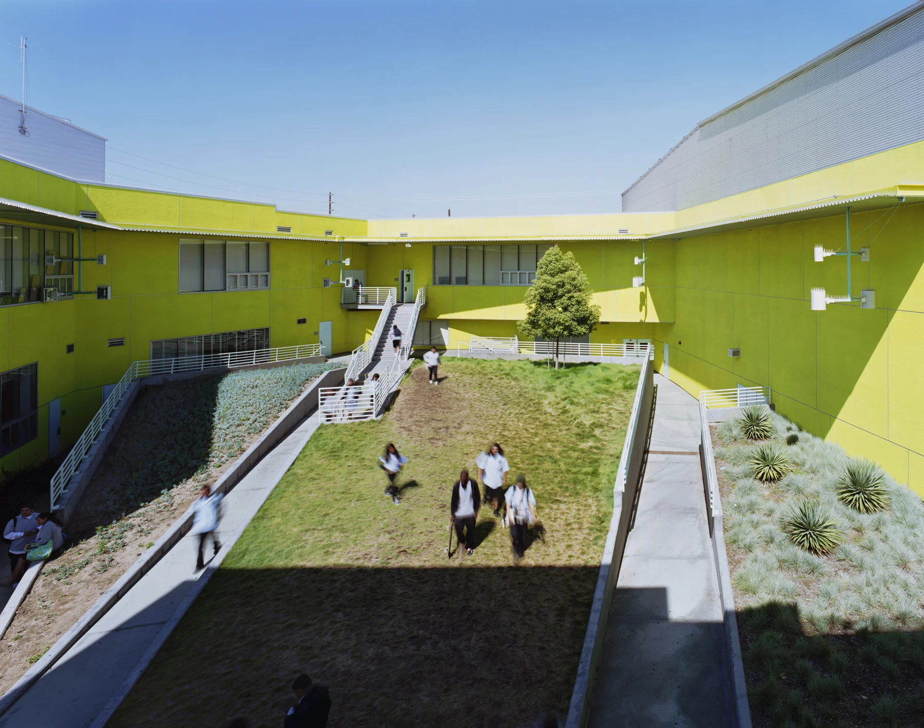 Horizontal strands are filled with programmed parts of the school, which are seen as zones and districts within the project. The project builds within it several 'clearings' that act as key public spaces.