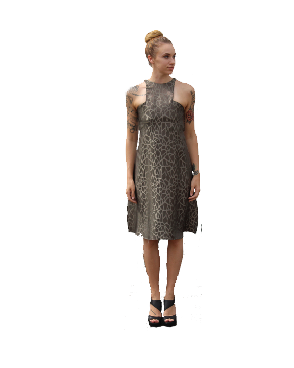 dress 2 .png