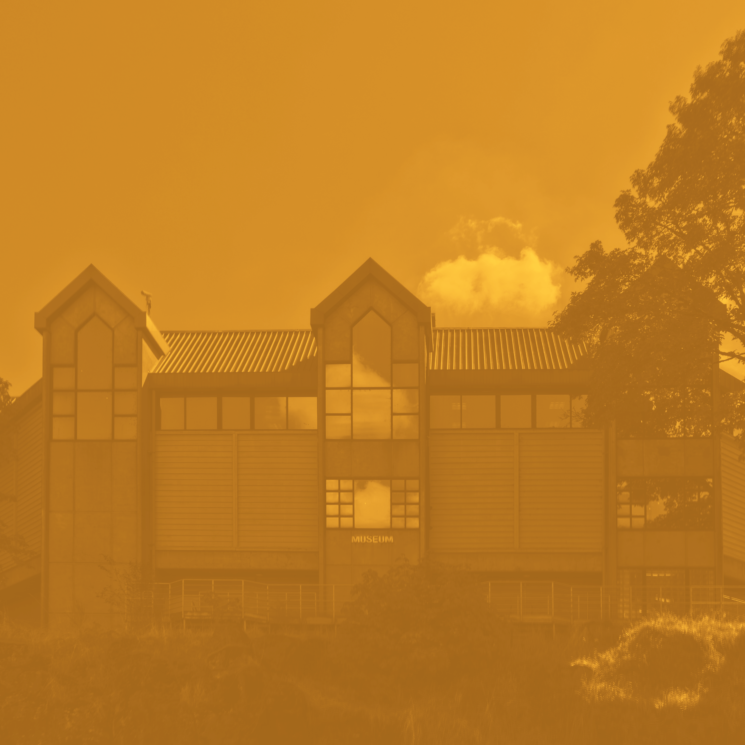 image1-4_bg.png