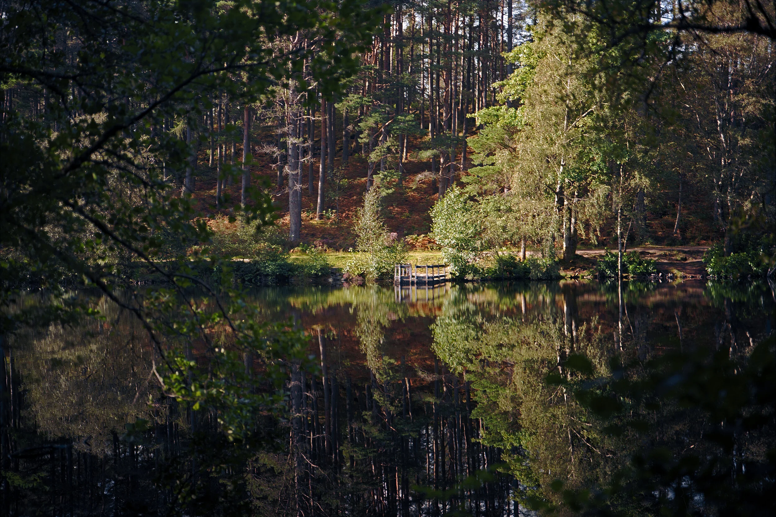 glencoeee resize.jpg