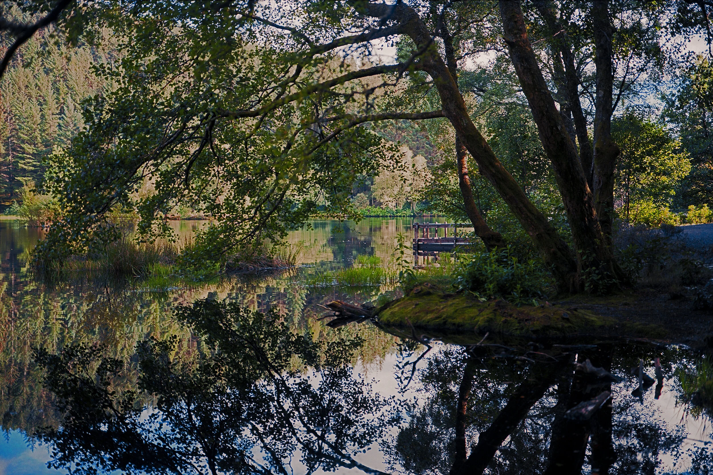 reflections resize.jpg