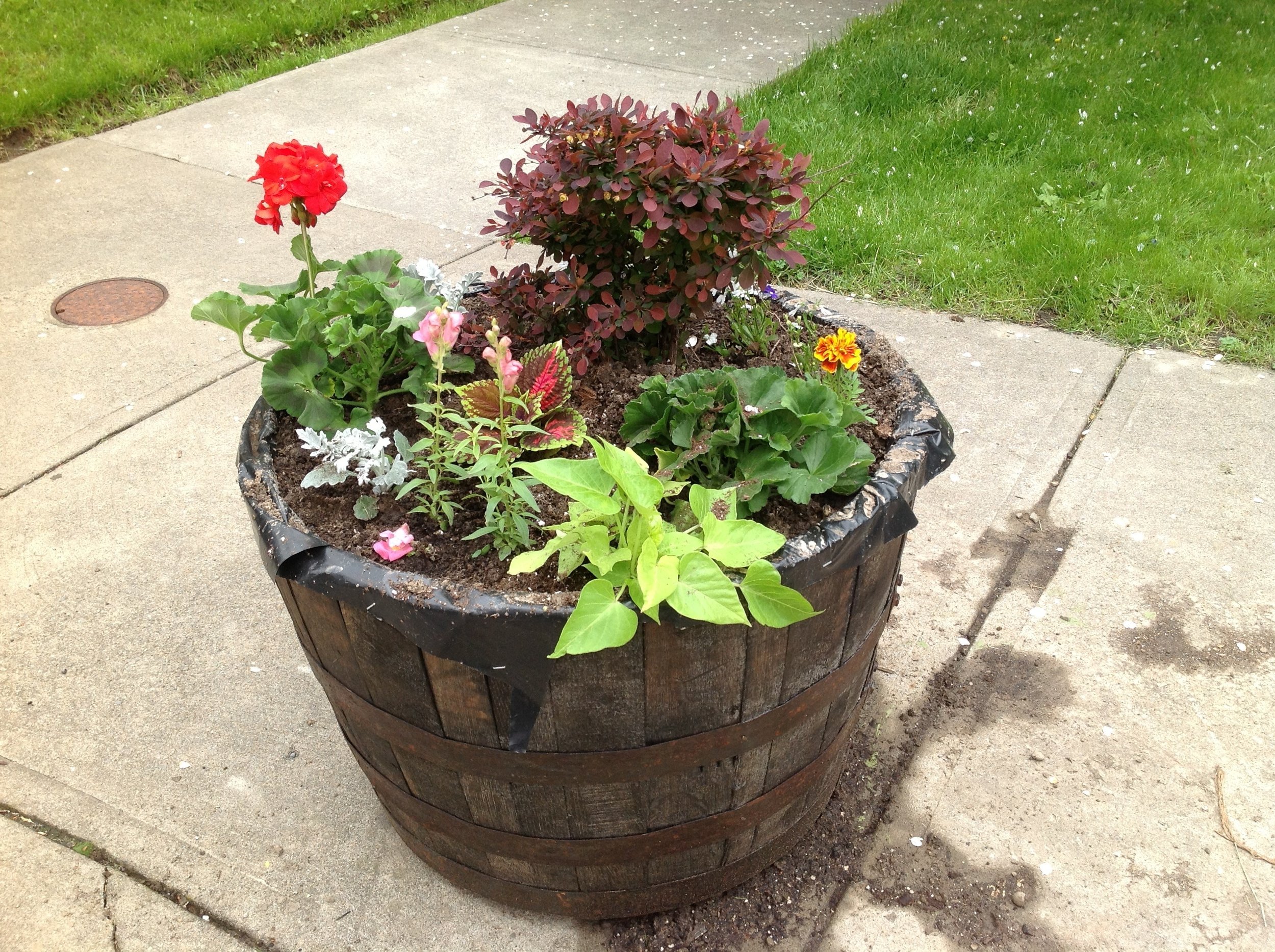 Hawley Green Planters (Copy)