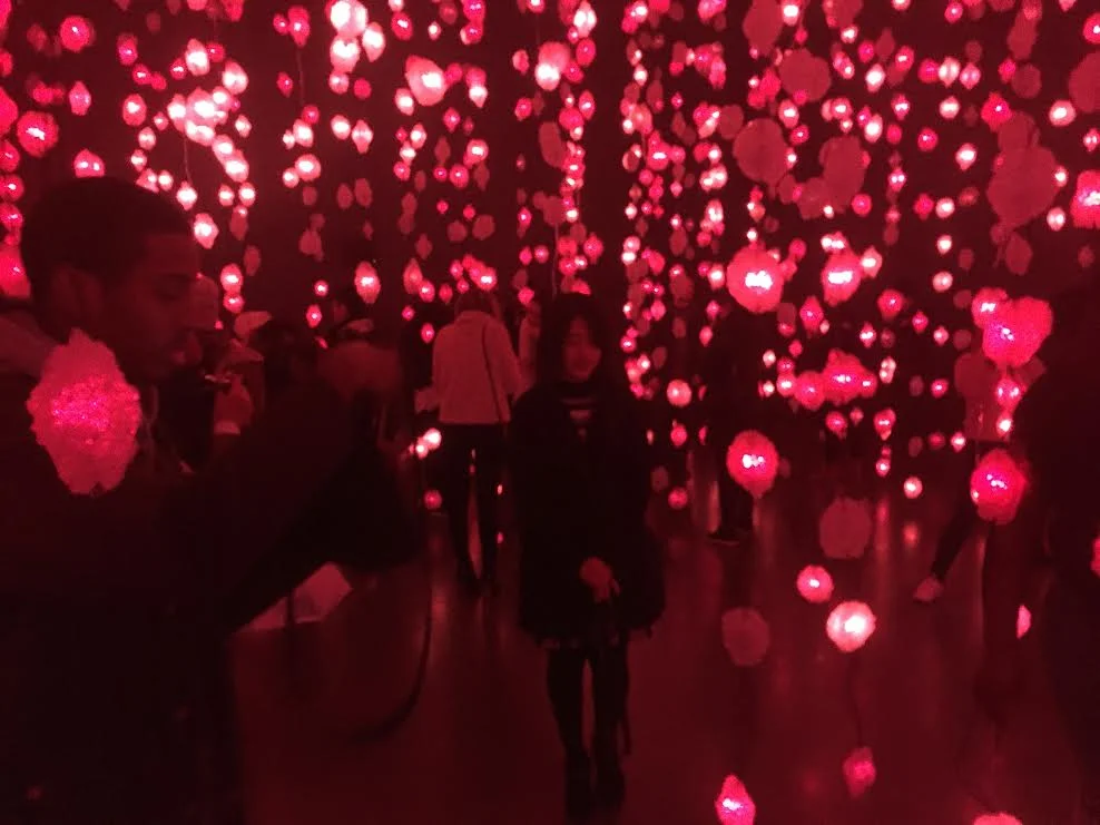 Rist's Mercy Garden (2014), put me in mind of David Hammons’ playful Blue Lights installations. New Museum installation view photo by Norman Douglas, 2017