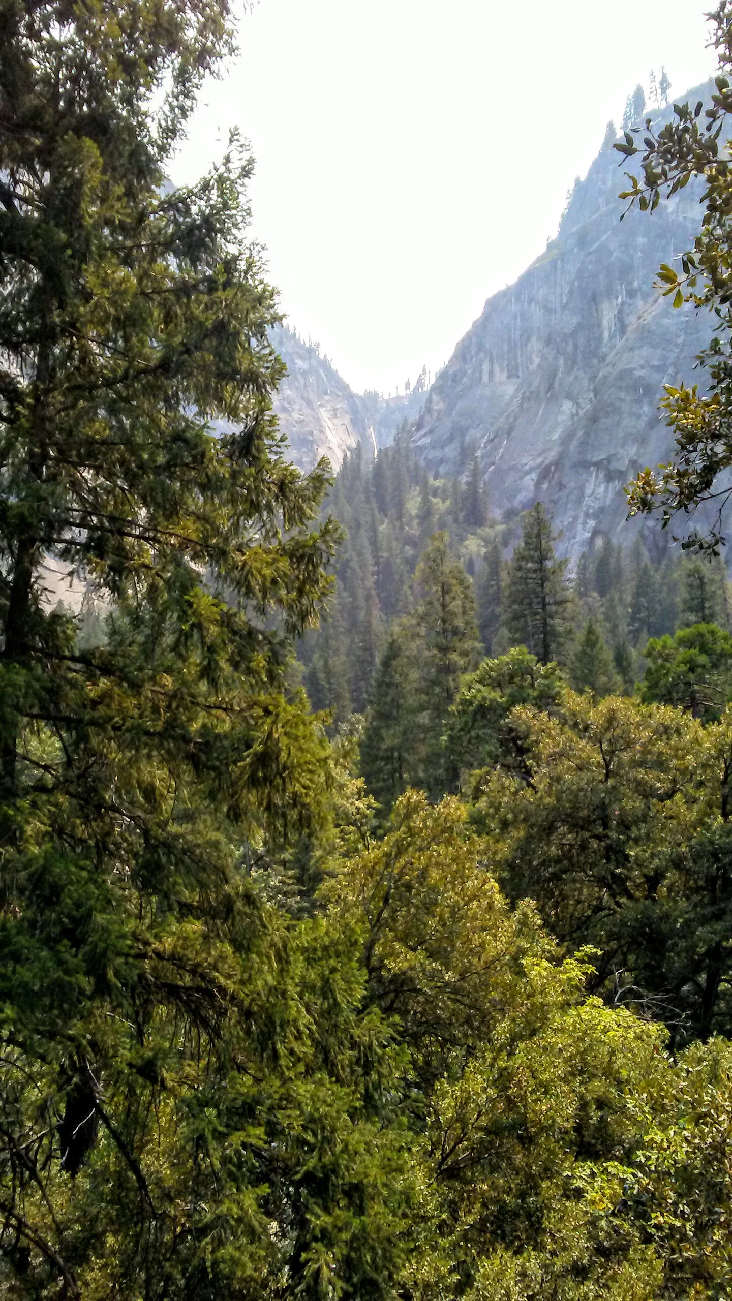 Yosemite Photos