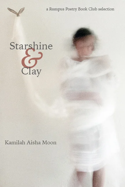 Heaven and Earth: Starshine & Clay by Kamilah Aisha Moon