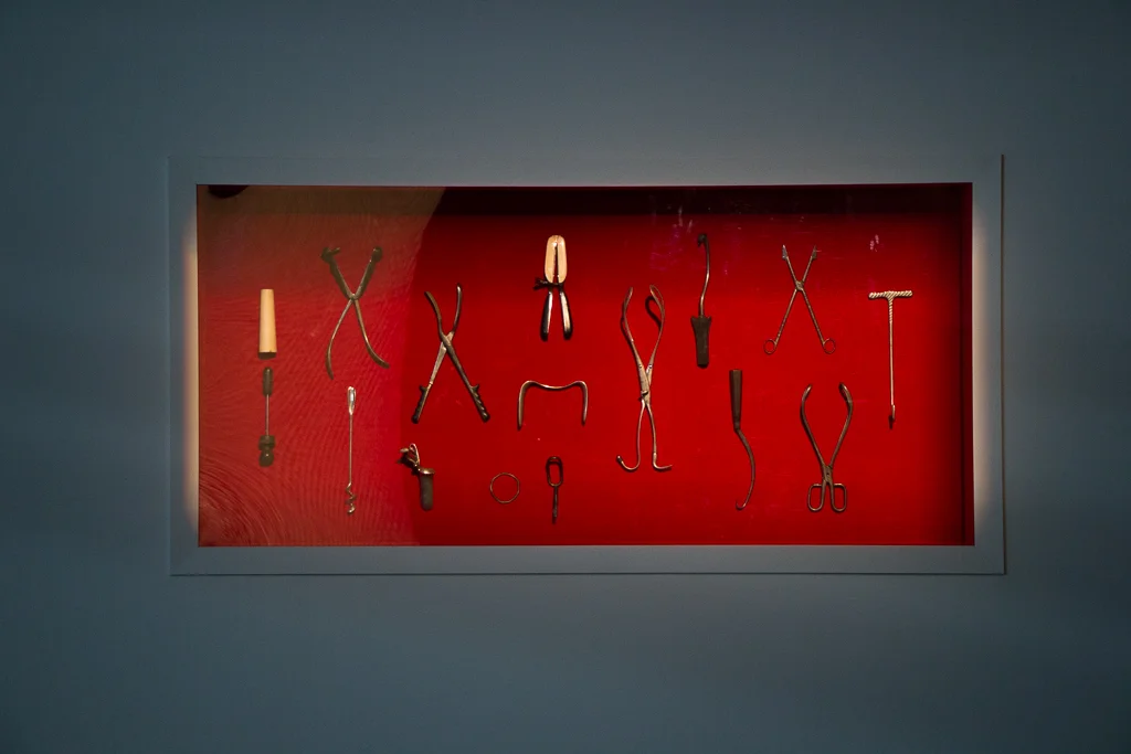 Garner_-Various_Gyno_Instruments.jpg