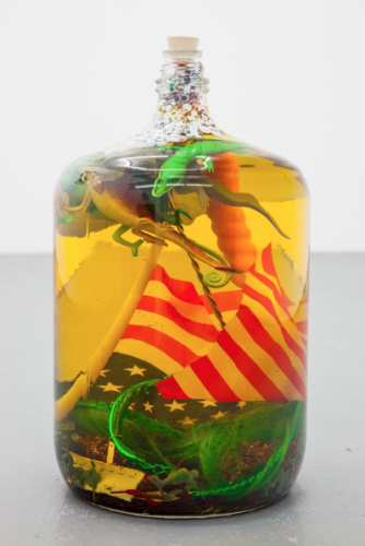 Hex-to-ward-off-reptilian-brainwashing-Lazaros-captial-gallery-334x500.png
