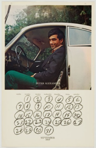 L.A.-Artist-in-their-Cars-Joe-Goode-Alden-Projects2-323x500.png