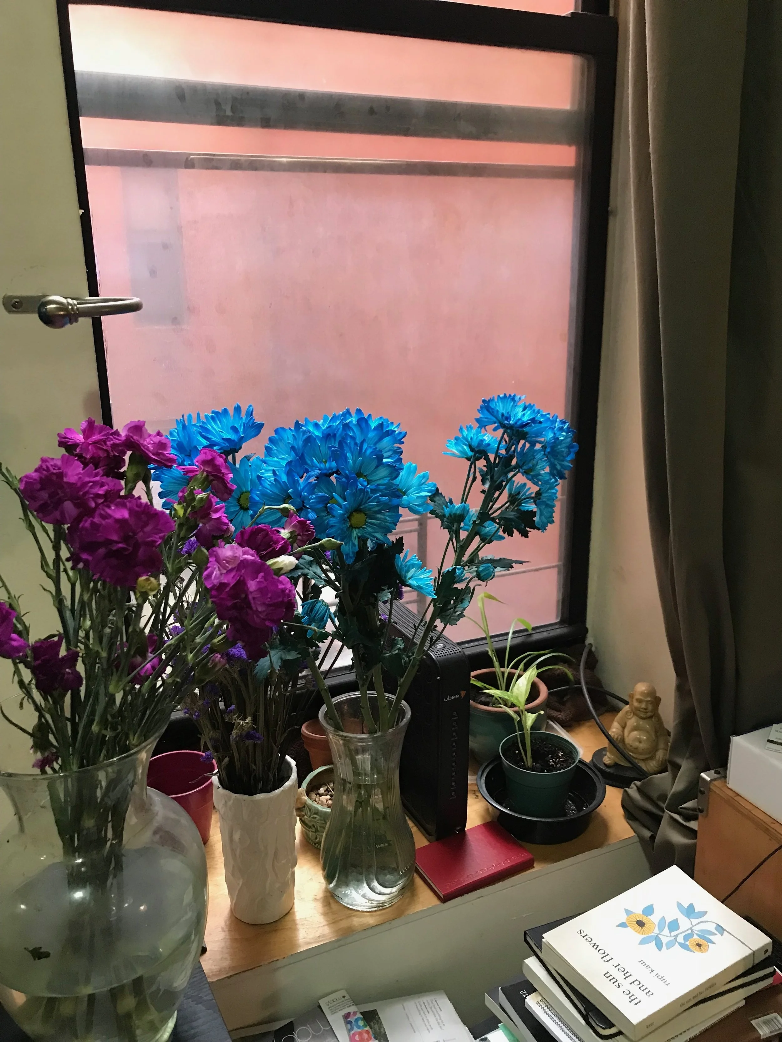New Flowers