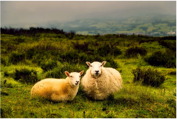 "Never mind what is not" by Leslie Browne