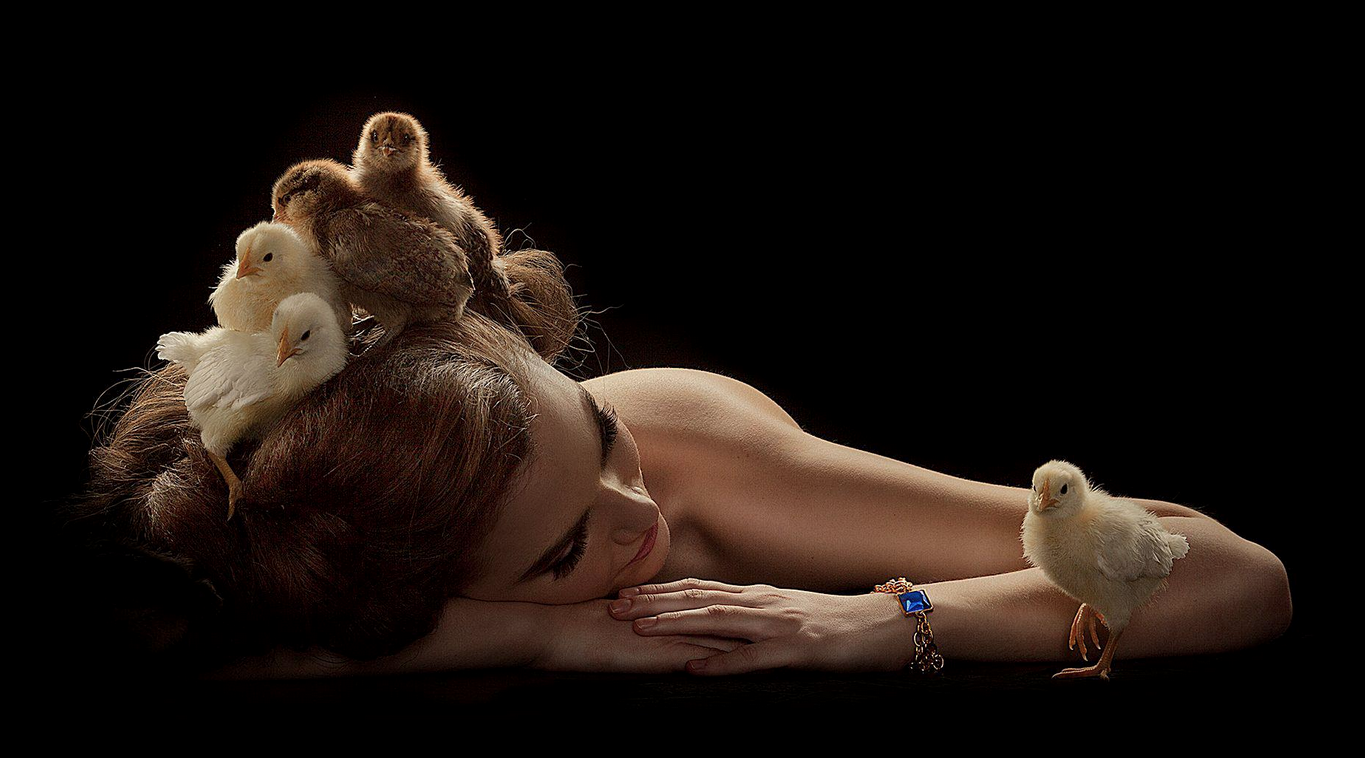 Chick Shoot 2.png