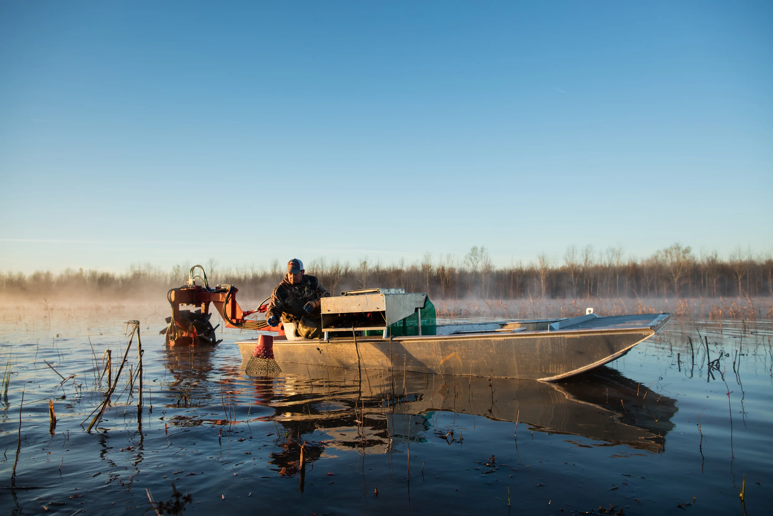 170126 Cargo Crawfish WEB0001.JPG