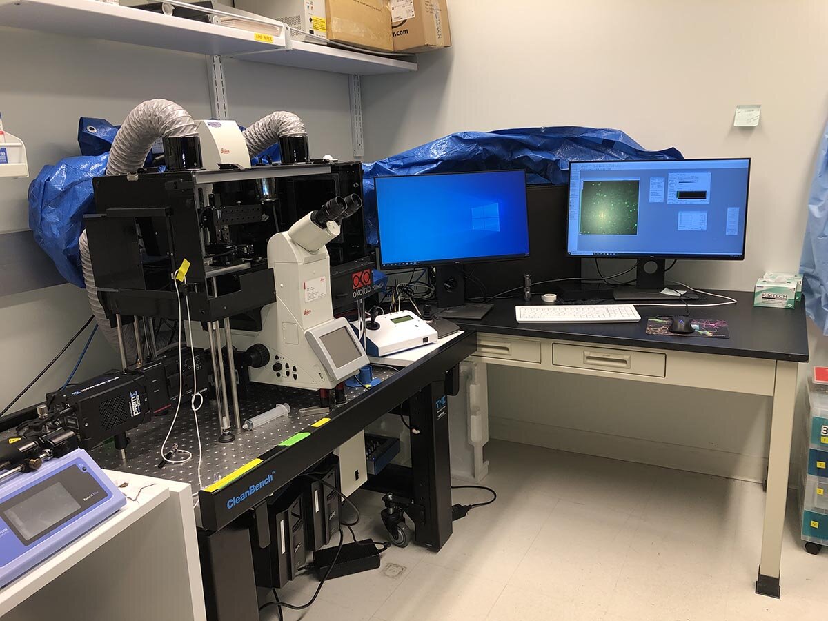 Fully automated high content fluorescence microscope