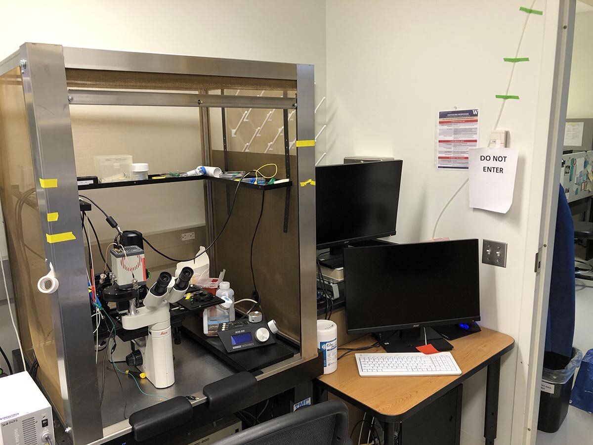 Combined patch clamp electrophysiology and fluorescent microscopy setup